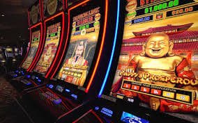 dk win